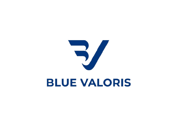 Blue Valoris Install Logo